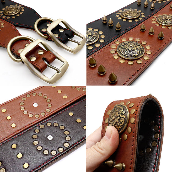 Pet Collars, Harnesses & Accessories