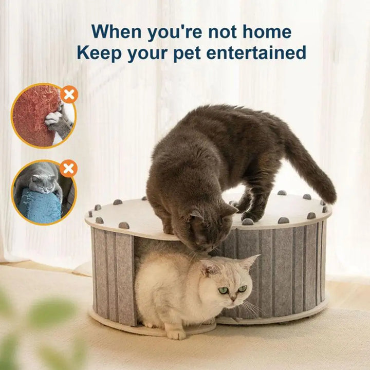 Pet Furnitures