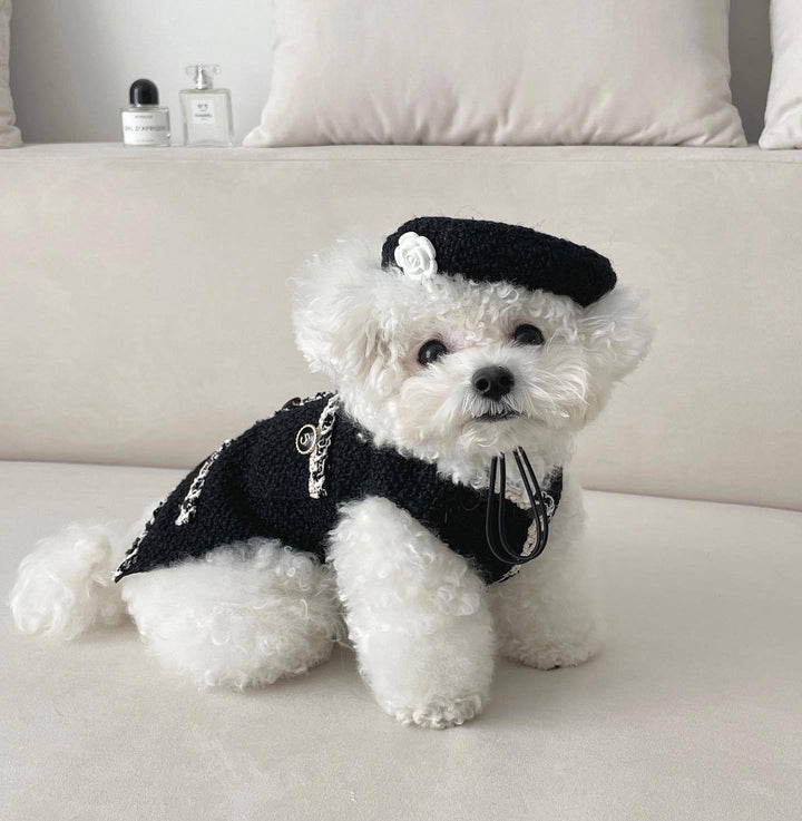 Pet Apparels