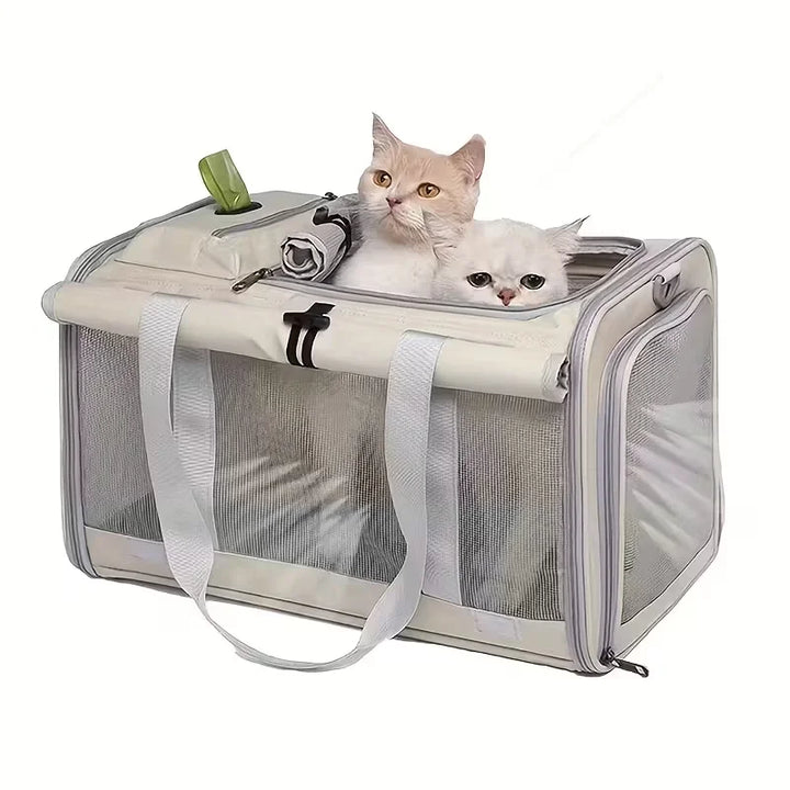Carriers & Travel